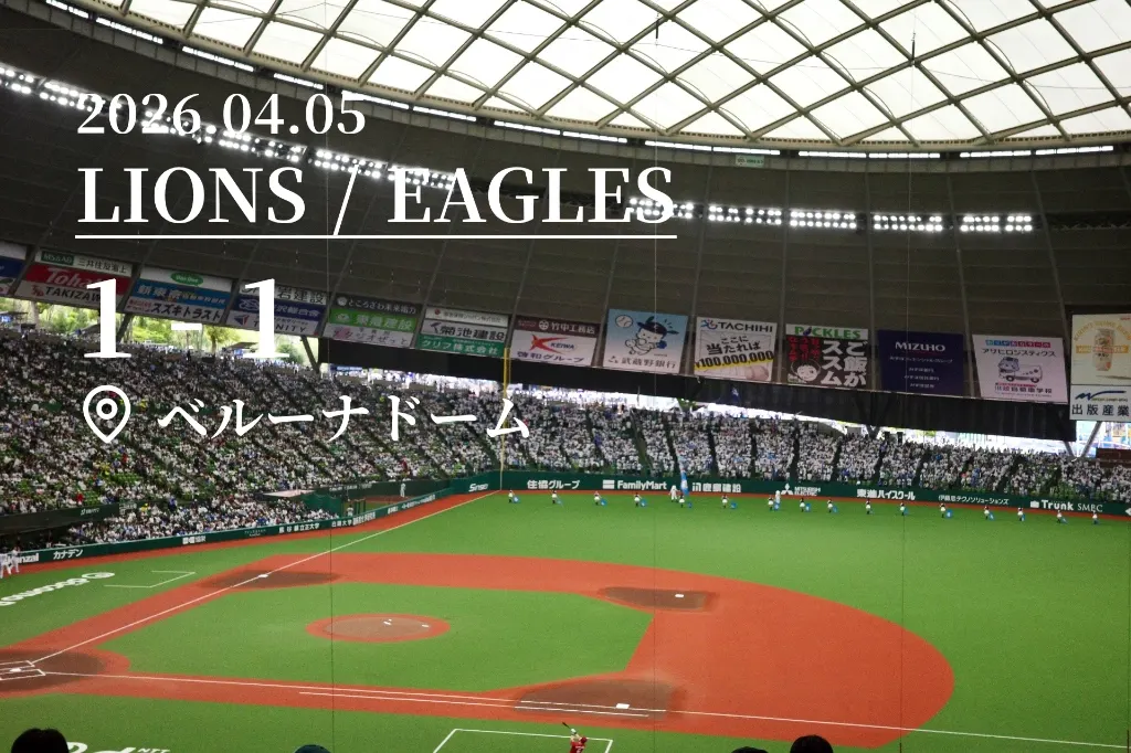 Sample Lions vs Eagles
