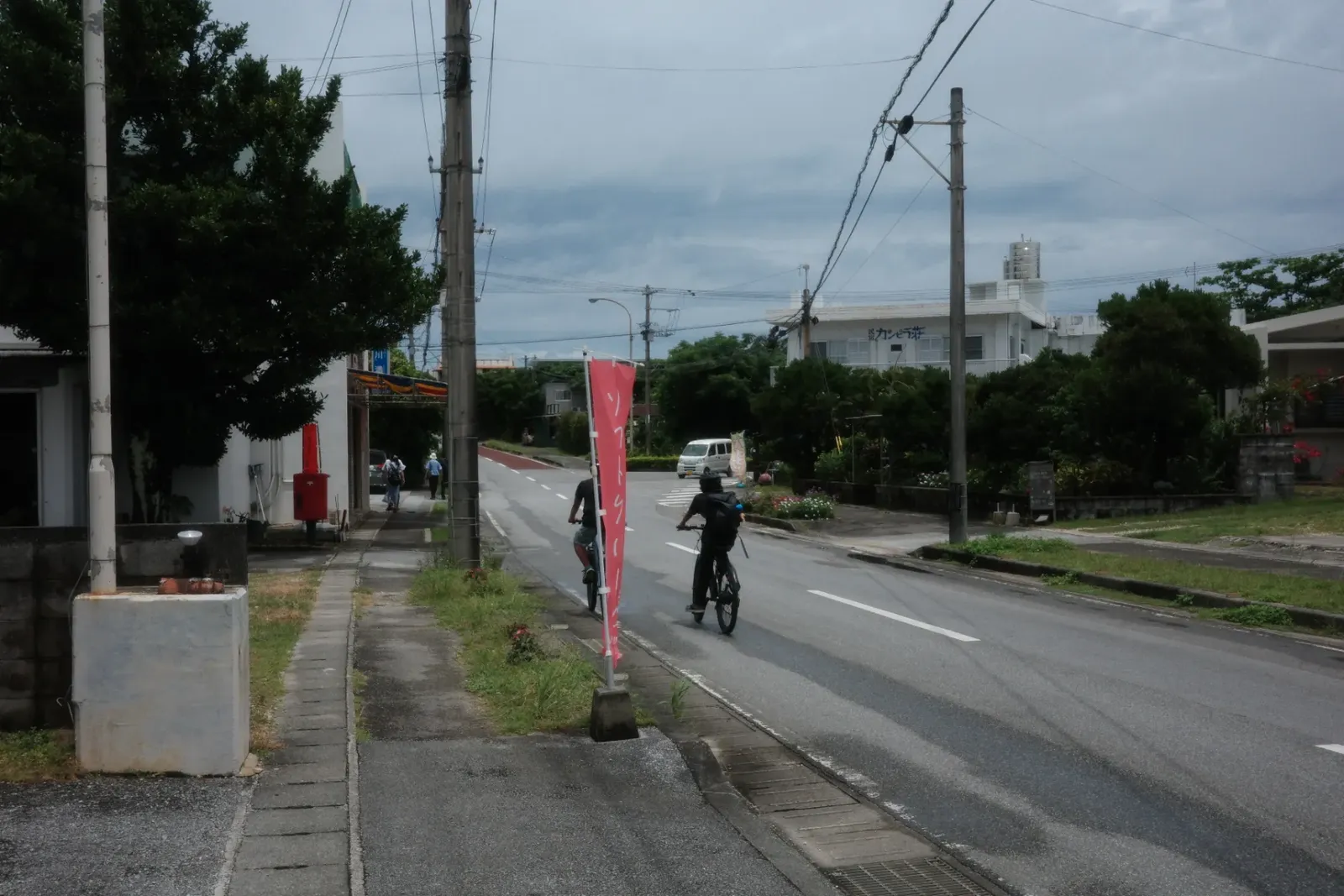 西表島 手付かずのマングローブ林