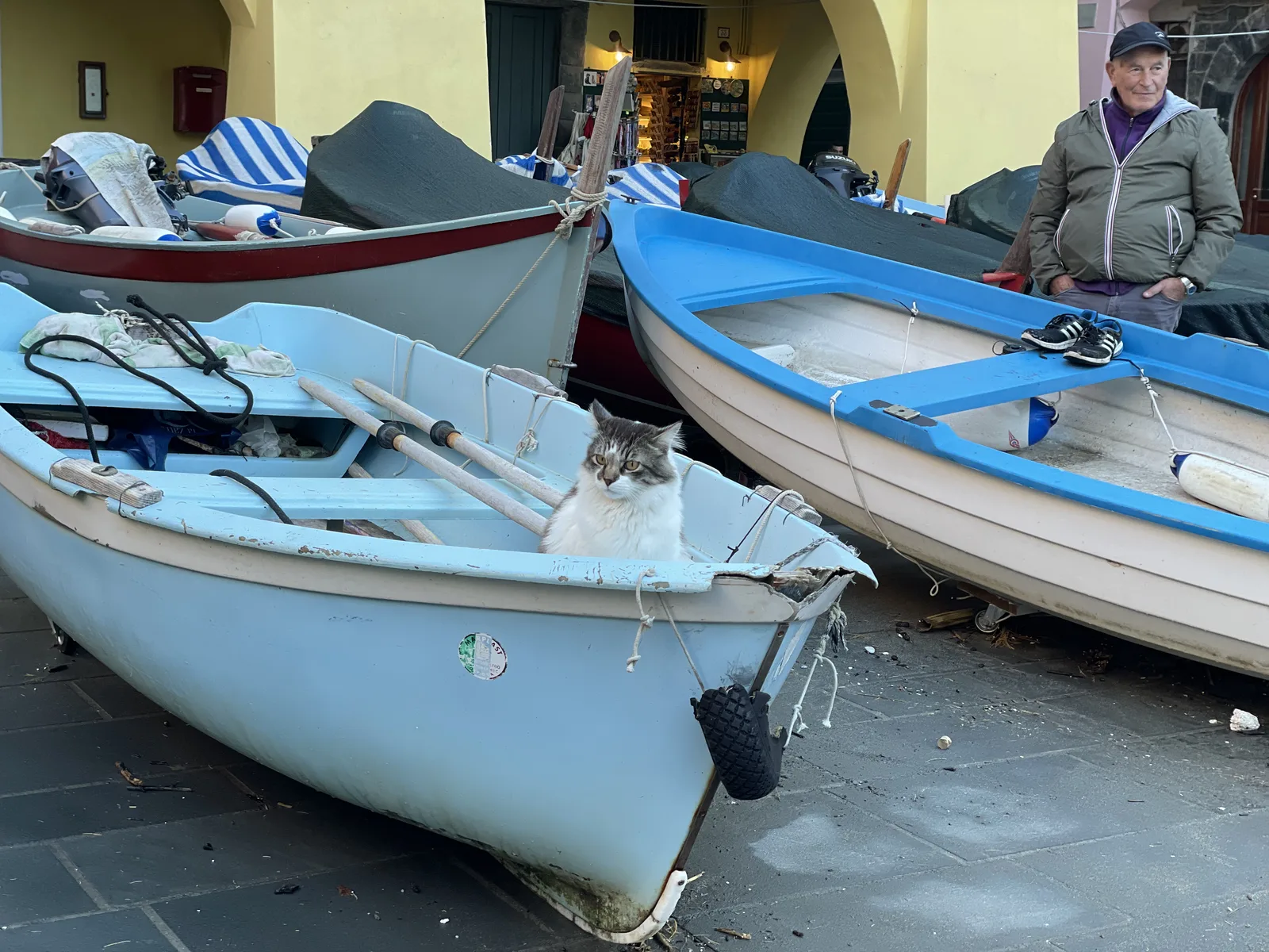 港のベンチ近くでのんびり日向ぼっこをするイタリアの猫